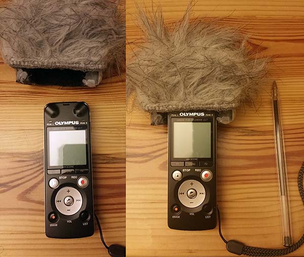 Olympus LS-7 and Dead Kitten