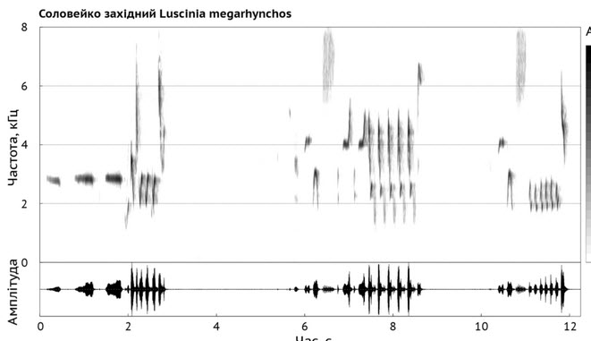 wiki spectrogram